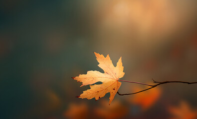 Wall Mural - a golden autumn leaf with a dark green and orange background of fall foliage in an autumn landscape 