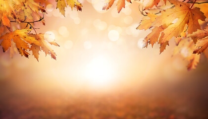 Wall Mural - an autumn nature, fall background of blurred foliage and tree leaves at sunset in an autumn landscap