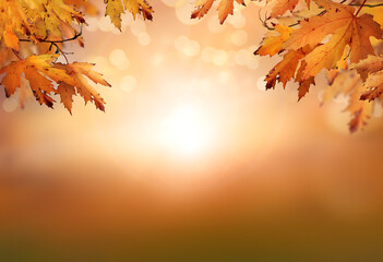 Wall Mural - an autumn nature, fall background of blurred foliage and tree leaves at sunset in an autumn landscap