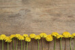 Beautiful yellow dandelions on wooden table, flat lay. Space for text