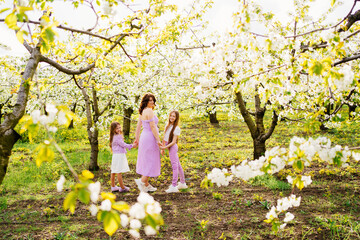 Wall Mural - mom walks with her two daughters in the garden among the flowering trees.