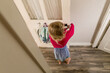 © Jennifer Bogle/Stocksy - High angle view of girl putting on sweater