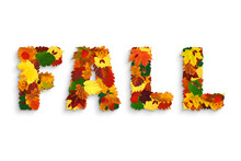 Word “FALL” Made With Colorful Hawthorn, Maple, Alder, Oak Fall Leaves, Physalis Lanterns (Physalis Alkekengi), Dog-rose Fruits And Acorns, With Grey Shadow On White
