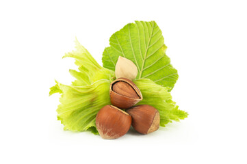 Wall Mural - Hazelnuts with green branch isolated on white background