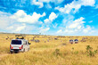 Safari concept. Safari cars with wildebeests and zebras in african savannah. Masai Mara national park, Kenya.