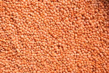 Wall Mural - Raw whole dried red Masoor lentils