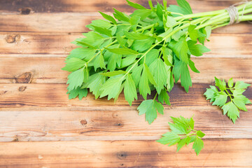 Spicy herbs. Fresh celery. Green celery leaves on wooden table