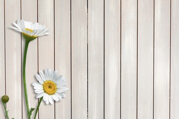 Wall Mural - Flower.