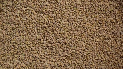 Wall Mural - Raw whole dried Fenugreek seeds