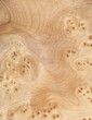 © Wenhai Tang/Stocksy - Macro photo of wood cross section Wood grain texture background