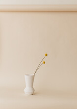 Two Flowers In White Vase