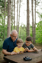 Grandfather Spending Day With His Grandchildren