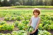 © Jennifer Bogle/Stocksy - Smiling boy with bucket of cucumbers