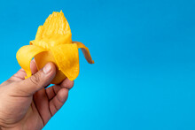 Mano Sosteniendo Un Mango Manila Que Esta Siendo Comido, Sobre Un Fondo De Color Azul