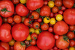 © Milles Studio/Stocksy - Bunch of fresh ripe tomatoes