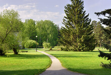 A Path In The Landscaped Garden. Tall Fir Trees, Fresh Foliage Of Trees, Grass On The Lawn In Spring Under A Blue Sky. Novosibirsk, Siberia, Russia