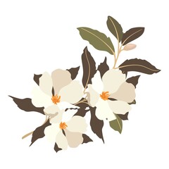 Wall Mural - Vintage flower. A branch of a blossoming tree. Flat vector illustration in pastel colors.