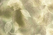 © Ron Mellott/Stocksy - macro of leaf patterns in a glass plate