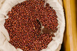 © Eloisa Ramos/Stocksy - Top view of brown beans in bulk sack