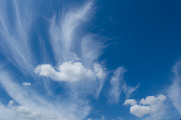 Wall Mural - blue sky background with tiny clouds. panorama white fluffy clouds in the blue sky.beautiful vast bl