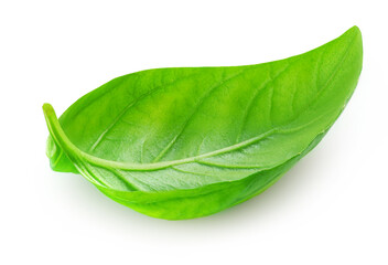 Wall Mural - Basil isolated. Green Basil leaf on white. Close up