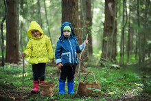 Children Go To The Forest For Mushrooms