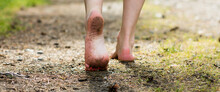 Woman Legs Walking In Summer Forest. Barefoot, Freedom And Health Concept. Panorama Banner