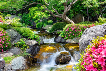River Cascade In A Spring Japanese Garden
