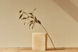 © Austin Lord/Stocksy - A bar of soap with a branch