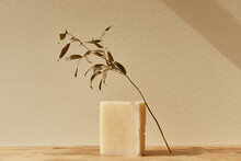A Bar Of Soap With A Branch 
