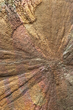 Closeup Of A Pyrite Geologic Specimen