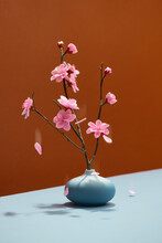 Pink Blossom Flowers In A Vase