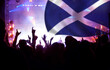 © erika8213 - Scotland supporters and fans during football match