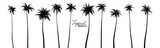 Fototapeta Sypialnia - Set of black silhouettes of palm trees. Vector illustration