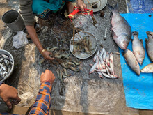 Fisherman Selling Fishes In A Local Market