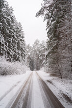 Snowy Road Surrounded By Trees