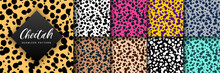 Vector Trendy Cheetah Skin Seamless Pattern Set. Abstract Hand Drawn Wild Animal Leopard Spots Texture For Fashion Print Design, Fabric, Digital Paper, Background, Wallpaper