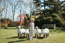 Toddler Boy Standing In Front Of Sheep Statues In The Park