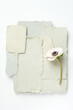 © Alison Winterroth/Stocksy - A flower on a paper backgound