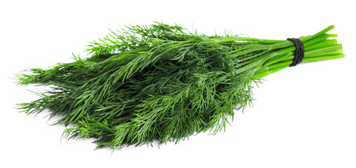 Bunch of fresh dill on white background