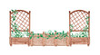 Wooden wall trellis fence with greenery, branches and leaves. Street old plant boxes. Hand drawn watercolor painting. Isolated illustration on a white background. Garland, border for decorating cards 