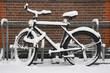 © Rene de Haan/Stocksy - bicycle in the snow