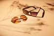 © PierreJeanMoulis - 2 pairs of women sunglasses on a soft orange background and strong shadows of flowers