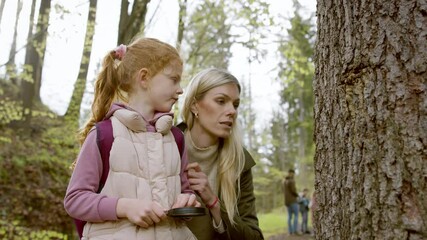 Wall Mural - Small girl with teacher examining tree with magnifying glass in nature, learning group education concept.