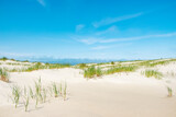 Fototapeta Morze - Sand dunes at the beach and helmgrass on Vlieland island in the Netherlands