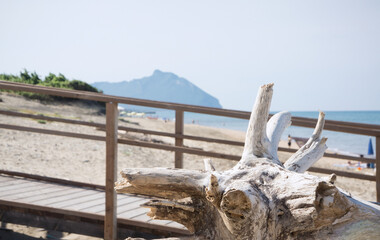 Wall Mural - View of the beach of Sabaudia - Latina Italy with copy space