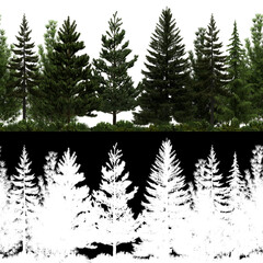 Wall Mural - 3d render of horizon pine trees line in 4k available for loop. tileable. for create infinite nature 