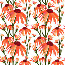 Vector Seamless Pattern With Orange Coneflowers (echinacea) On White Background. June Bloom,flat Floral Design For Decoration,fabrics,textile,bed Linen And Interior.