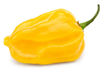 Wall Mural - Habanero chili yellow hot pepper isolated on white background. clipping path