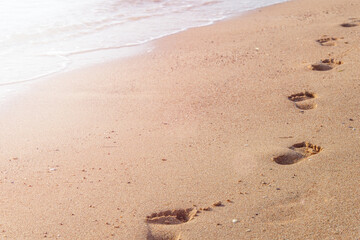 Wall Mural - Texture background Footprints of human feet on the sand near the water on the beach